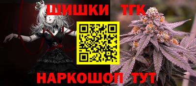 spice Гатчина
