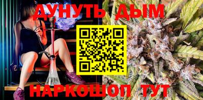 spice Гатчина