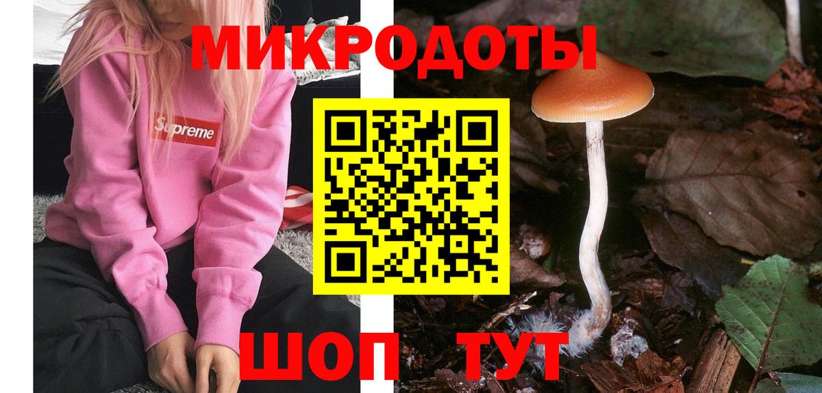 Псилоцибиновые грибы Cubensis  Псилоцибиновые грибы мицелий  Лангепас  Вход с VPN 